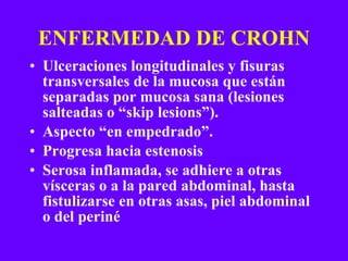 ENFERMEDAD DE CROHN Ulceraciones longitudinales y fisuras transversales de la mucosa que están separadas por mucosa sana (lesiones salteadas o “skip lesions”).  Aspecto “en empedrado”. Progresa hacia estenosis Serosa inflamada, se adhiere a otras vísceras o a la pared abdominal, hasta fistulizarse en otras asas, piel abdominal o del periné 
