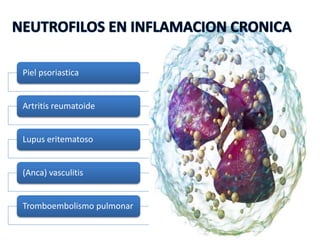 Piel psoriastica
Artritis reumatoide
Lupus eritematoso
(Anca) vasculitis
Tromboembolismo pulmonar
 