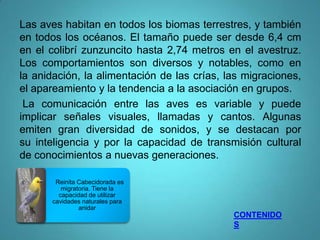 Las aves habitan en todos los biomas terrestres, y también
en todos los océanos. El tamaño puede ser desde 6,4 cm
en el colibrí zunzuncito hasta 2,74 metros en el avestruz.
Los comportamientos son diversos y notables, como en
la anidación, la alimentación de las crías, las migraciones,
el apareamiento y la tendencia a la asociación en grupos.
 La comunicación entre las aves es variable y puede
implicar señales visuales, llamadas y cantos. Algunas
emiten gran diversidad de sonidos, y se destacan por
su inteligencia y por la capacidad de transmisión cultural
de conocimientos a nuevas generaciones.

       Reinita Cabecidorada es
         migratoria. Tiene la
        capacidad de utilizar
      cavidades naturales para
               anidar
                                             CONTENIDO
                                             S
 