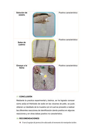 Solución de
estaño
Positivo característico
Sales de
cadmio
Positivo característico
Ensayo a la
llama
Positivo característico
17. CONCLUSIÓN
Mediante la practica experimental y teórica, se ha logrado conocer
como actúa el Hidróxido de sodio en las vísceras de pollo, se pudo
obtener un destilado de la muestra con el cual se procedió a realizar
las diferentes reacciones de identificación dando positivo en algunas
reacciones y en otras dabas positivo no característico.
18. RECOMENDACIONES
Usar el equipo de protección adecuado al momento de manipular ácidos
 