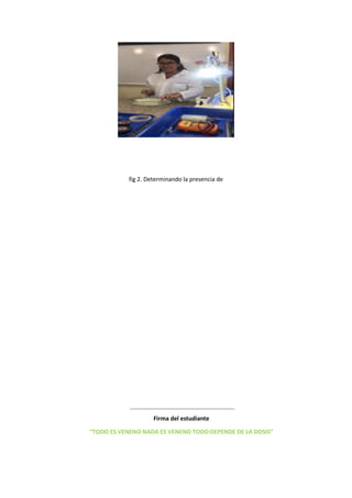 fig 2. Determinando la presencia de
Firma del estudiante
“TODO ES VENENO NADA ES VENENO TODO DEPENDE DE LA DOSIS”
 
