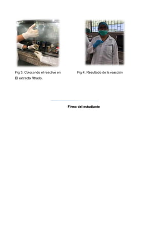 Fig 3. Colocando el reactivo en Fig 4. Resultado de la reacción
El extracto filtrado.
Firma del estudiante
 