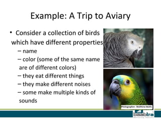 Example: A Trip to Aviary
• Consider a collection of birds
which have different properties
– name
– color (some of the same name
are of different colors)
– they eat different things
– they make different noises
– some make multiple kinds of
sounds
 