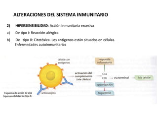 ALTERACIONES DEL SISTEMA INMUNITARIO
2) HIPERSENSIBILIDAD: Acción inmunitaria excesiva
a) De tipo I: Reacción alérgica
b) De tipo II: Citotóxica. Los antígenos están situados en células.
Enfermedades autoinmunitarias
 