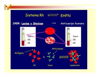 Inmunohematología final