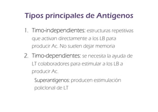 Tipos principales de Antígenos
1. Timo-independientes: estructuras repetitivas
   Timo-
   que activan directamente a los LB para
   producir Ac. No suelen dejar memoria
2. Timo-dependientes: se necesita la ayuda de
   Timo-
   LT colaboradores para estimular a los LB a
   producir Ac.
    Superantígenos:
    Superantígenos: producen estimulación
    policlonal de LT
 