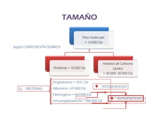 TAMAÑO

                                        Peso molecular:
                                         > 10.000 Da
Según COMPOSICIÓN QUÍMICA



                                                      Hidratos de Carbono
                     Proteínas > 10.000 Da                   Lípidos
                                                      > 30.000- 50.000 Da
                                                        30.000-

                     Angiotensina = 1031 Da
                                                    ANTIGENICIDAD
   Ej.: PROTEÍNAS    Albúmina = 69.000 Da
                     Fibrinógeno = 400.000 Da
                                                               ANTIGENICIDAD
                     Inmunoglobulina M = 900.000 Da
 