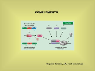 COMPLEMENTO Regueiro González, J.R., y col. Inmunología 