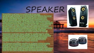 SPEAKER
 