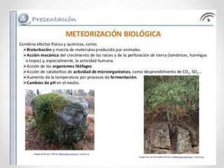 Integrador unidad-1
