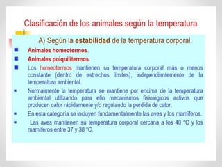 Integrador unidad-1