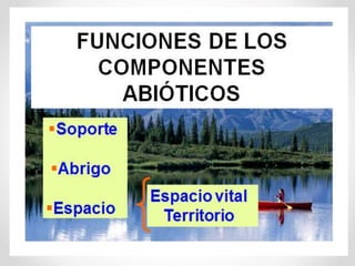 Integrador unidad-1