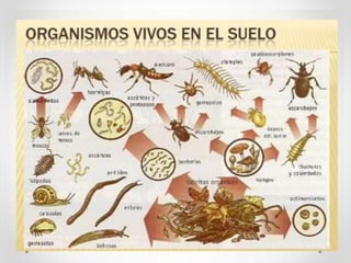 Integrador unidad-1