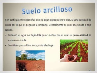 Integrador unidad-1