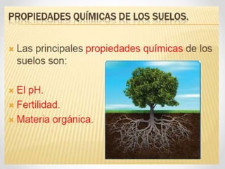 Integrador unidad-1