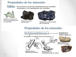 Integrador unidad-1