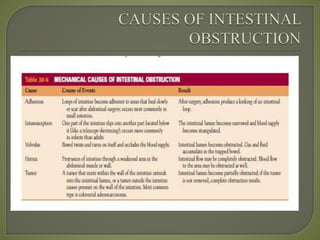 Intestinal obstruction surgery adult health nursing.pptx