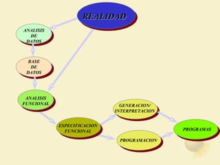 REALIDAD ANALISIS DE DATOS BASE DE DATOS ANALISIS FUNCIONAL PROGRAMACION PROGRAMAS GENERACION/ INTERPRETACION ESPECIFICACION FUNCIONAL 