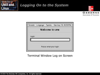 Logging On to the System  Terminal Window Log on Screen 