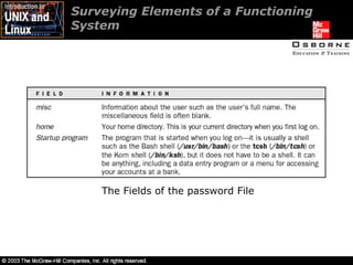 Surveying Elements of a Functioning System The Fields of the password File 