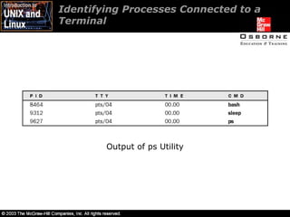 Identifying Processes Connected to a Terminal  Output of ps Utility 