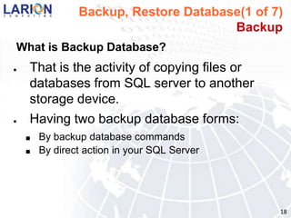 Database Management System(1 of 3)Popular Database Management SystemsMS SQL server