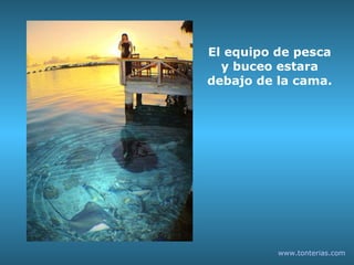 El equipo de pesca y buceo estara debajo de la cama. www.tonterias.com 