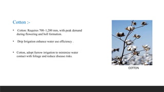 Cotton :-
• Cotton: Requires 700–1,200 mm, with peak demand
during flowering and boll formation.
• Drip Irrigation enhance water use efficiency .
• Cotton, adopt furrow irrigation to minimize water
contact with foliage and reduce disease risks.
COTTON
 