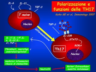 IL-6

Polarizzazione e
funzioni delle TH17

IL-21
TGF-

T naive
Nucleo

Kaiko GE et al, Immunology 2007

TGF-

IL-23

IL-23R
STAT3

IL-17,IL-17F,IL6, IL-22,IL21,TNF-

Th17

Fibroblasti, macrofagi, c
.endoteliali/epiteliali

ROR t

Nucleo

mediatori infiammatori
rilascio di chemochine
Neutrofili

Batteri Extracellulari
malattie Autoimmuni

 
