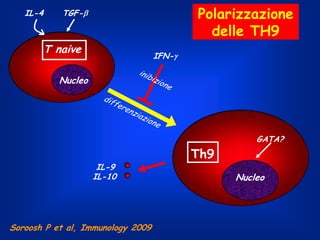 IL-4

Polarizzazione
delle TH9

TGF-

T naive

IFN-

Nucleo

GATA?
IL-9
IL-10

Soroosh P et al, Immunology 2009

Th9
Nucleo

 