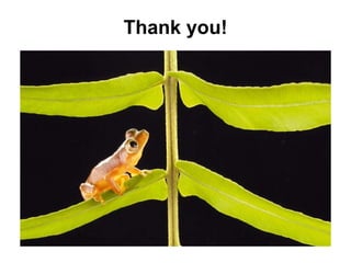 Thank you!
 