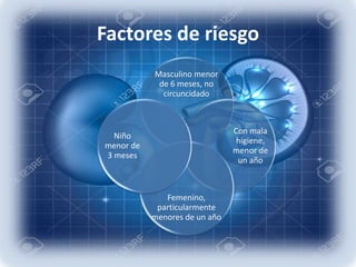 Factores de riesgo
;
Masculino menor
de 6 meses, no
circuncidado
Con mala
higiene,
menor de
un año
Femenino,
particularmente
menores de un año
Niño
menor de
3 meses
 