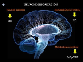 + NEUROMONITORIZACIÓN
Función cerebral Hemodinámica cerebral
Metabolismo cerebral
BIS PIC
ScO2-NIRS
 