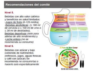 Tratamiento nutricional de la Diabetes tipo 2, por la Dra.Maribel Ruiz Ruiz.