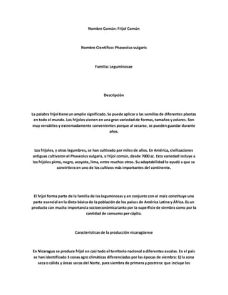 Nombre Común: Frijol Común
Nombre Científico: Phaseolus vulgaris
Familia: Leguminosae
Descripción
La palabra frijol tiene un amplio significado.Se puede aplicar a las semillasde diferentes plantas
en todo el mundo. Los frijoles vienen en una gran variedad de formas, tamaños y colores. Son
muy versátiles y extremadamente convenientes porque al secarse, se pueden guardar durante
años.
Los frijoles, y otras legumbres, se han cultivado por miles de años. En América, civilizaciones
antiguas cultivaron el Phaseolus vulgaris, o frijol común, desde 7000 ac. Esta variedad incluye a
los frijoles pinto, negro, acoyote, lima, entre muchos otros. Su adaptabilidad lo ayudó a que se
convirtiera en uno de los cultivos más importantes del continente.
El frijol forma parte de la familia de las leguminosas y en conjunto con el maíz constituye una
parte esencial en la dieta básica de la población de los países de América Latina y África. Es un
producto con mucha importancia socioeconómicatanto por la superficie de siembra como por la
cantidad de consumo per cápita.
Características de la producción nicaragüense
En Nicaragua se produce fríjol en casi todo el territorio nacional a diferentes escalas. En el país
se han identificado 3 zonas agro climáticas diferenciadas por las épocas de siembra: 1) la zona
seca o cálida y áreas secas del Norte, para siembra de primera y postrera: que incluye los
 