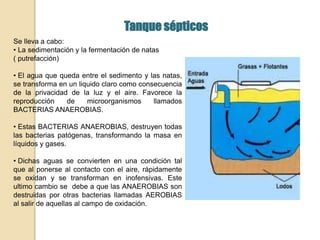 Se lleva a cabo:
• La sedimentación y la fermentación de natas
( putrefacción)
• El agua que queda entre el sedimento y las natas,
se transforma en un liquido claro como consecuencia
de la privacidad de la luz y el aire. Favorece la
reproducción de microorganismos llamados
BACTERIAS ANAEROBIAS.
• Estas BACTERIAS ANAEROBIAS, destruyen todas
las bacterias patógenas, transformando la masa en
líquidos y gases.
• Dichas aguas se convierten en una condición tal
que al ponerse al contacto con el aire, rápidamente
se oxidan y se transforman en inofensivas. Este
ultimo cambio se debe a que las ANAEROBIAS son
destruidas por otras bacterias llamadas AEROBIAS
al salir de aquellas al campo de oxidación.
Tanque sépticos
 