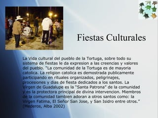 Fiestas Culturales La Vida cultural del pueblo de la Tortuga, sobre todo su sistema de fiestas le da expresion a las creencias y valores del pueblo. “La comunidad de la Tortuga es de mayoria catolica. La religion catolica es demostrada publicamente participando en rituales organizados, peligrinajes, procesiones y dias de fiesta dedicados a los santos. La Virgen de Guadalupe es la “Santa Patrona” de la comunidad y es la protectora principal de divina intervencion. Miembros de la comunidad tambien adoran a otros santos como: la Virgen Fatima, El Se ñor San Jose, y San Isidro entre otros.” (Mederos, Alba 2002) 
