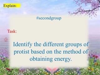Explain:
#secondgroup
Task:
Identify the different groups of
protist based on the method of
obtaining energy.
 