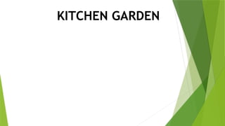 KITCHEN GARDEN
 