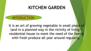KITCHEN GARDEN
It is an art of growing vegetable in small piece of
land in a planned way in the vicinity of living /
residential house to meet the need of the family
with fresh produce all year around regularly.
INTODUCTION
 