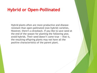 Hybrid or Open-Pollinated
Hybrid plants often are more productive and disease-
resistant than open-pollinated (non-hybrid) varieties.
However, there’s a drawback. If you like to save seed at
the end of the season for planting the following year,
avoid hybrids. Their seed doesn’t come true -- that is,
the resulting offspring plants may not have all the
positive characteristics of the parent plant.
 