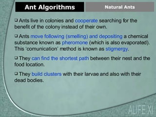 Ant Algorithms Natural Ants ALIFE XI Ants live in colonies and  cooperate  searching for the benefit of the colony instead of their own. Ants  move following (smelling) and depositing  a chemical substance known as  pheromone  (which is also evaporated). This ‘comunication’ method is known as  stigmergy . They  can find the shortest path  between their nest and the food location. They  build clusters  with their larvae and also with their dead bodies. 
