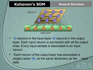 Kohonen’s SOM N  neurons in the input layer,  M  neurons in the output layer. Each input neuron is connected with all the output ones. Every input sample is associated to an input neuron. Each neuron of the output layer has associated a weight vector  Wj , as the same dimension as the  input data. General Structure ALIFE XI 