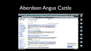 Aberdeen Angus Cattle
 