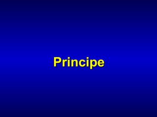 PrincipePrincipe
 