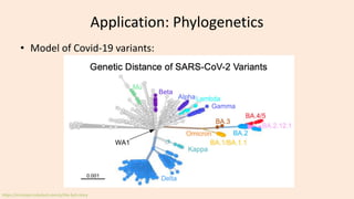 Application: Phylogenetics
• Model of Covid-19 variants:
https://erictopol.substack.com/p/the-ba5-story
 