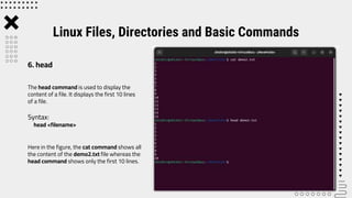 The head command is used to display the
content of a file. It displays the first 10 lines
of a file.
Syntax:
head <filename>
Here in the figure, the cat command shows all
the content of the demo2.txt file whereas the
head command shows only the first 10 lines.
Linux Files, Directories and Basic Commands
6. head
 