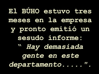 El BÚHO estuvo tres meses en la empresa y pronto emitió un sesudo informe: “  Hay demasiada gente en este departamento.....&quot;. 