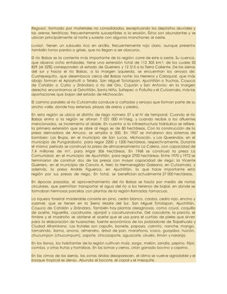 Regosol, formado por materiales no consolidados, exceptuando los depósitos aluviales y
las arenas ferráticas; frecuentemente susceptibles a la erosión. Éstos son abundantes y se
ubican principalmente al norte y sureste con algunos manchones al oeste.
Luvisol, tienen un subsuelo rico en arcilla, frecuentemente rojo claro, aunque presenta
también tonos pardos o grises, que no llegan a ser obscuros.
El río Balsas es la corriente más importante de la región; corre de este a oeste. Su cuenca,
que abarca ocho entidades, tiene una extensión total de 112 305 km 2, de los cuales 35
829 (el 32%) corresponden al estado de Guerrero y 12 515 a la Tierra Caliente. De las sierras
del sur y hacia el río Balsas, a la margen izquierda, se encuentran los arroyos de:
Cuatepequito, que desemboca cerca del Balsas norte; los Herreros y Calaquial, que más
abajo forman el Apizahutli o Tetela, San Miguel Totolapan, Ajuchitlán o Truchas, Coyuca
de Catalán o Cuirio y Zirándaro o río del Oro, Cujurán y San Antonio; en la margen
derecha encontramos al Oxtotitlán, Santo Niño, Sultepec o Poliutla y el Cutzamala, más las
aportaciones que bajan del estado de Michoacán.
El camino paralelo al río Cutzamala conduce a cañadas y arroyos que forman parte de su
ancho valle, donde hay extensas playas de arena y piedra.
En esta región se ubica el distrito de riego número 57 y el IV de temporal. Cuando el río
Balsas entra a la región se aforan 7 021 000 m3/seg, y cuando recibe a los afluentes
mencionados, se incrementa al doble. En cuanto a la infraestructura hidráulica se refiere,
la primera extensión que se abre al riego es de 80 hectáreas. Con la construcción de la
presa derivadora de Amuco, se amplía a 500. En 1957 se instalaron dos sistemas de
bombeo: Las Brujas, en el municipio de San Lucas, Michoacán, y Las Querendas, en el
municipio de Pungarabato, para regar 2200 y 1200 hectáreas, respectivamente. Durante
el mismo periodo se construyó la presa de almacenamiento La Calera, con capacidad de
7.4 millones de m3, para irrigar 506 hectáreas. En 1968 se construyó la presa La
Comunidad, en el municipio de Ajuchitlán, para regar 2700 hectáreas. Entre 1970 y 1972 se
terminaron de construir dos de las presas con mayor capacidad de riego: la Vicente
Guerrero, en el municipio de Canuto A. Neri; la Hermenegildo Galeana, en Cutzamala, y
además, la presa Andrés Figueroa, en Ajuchitlán, lo que hace importante esta
región por sus presas de riego. En total, se benefician actualmente 27 000 hectáreas.
En épocas pasadas, el aprovechamiento del río Balsas se hacía por medio de norias
circulares, que permitían transportar el agua del río a los terrenos de bajial, en donde se
formaban hermosas parcelas con plantas de la región llamadas tamacuas.
La riqueza forestal maderable consiste en pino, cedro blanco, caoba, cedro rojo, encino y
oyamel, que se tienen en la Sierra Madre del Sur, San Miguel Totolapan. Ajuchitlán,
Coyuca de Catalán y Zirándaro. También hay plantas oleaginosas, como coyol, coquillo
de aceite, higuerilla, cacahuate, ajonjolí y cacahuananche. Del cascalote, la parota, el
timbre y el madroño se obtiene el aceite que se usa para el curtido de pieles que sirven
para la elaboración de huaraches, fuente económica de los pobladores de Tlapehuala y
Ciudad Altamirano. Las frutales son capulín, bonete, papaya, caimito, nanche, mango,
tamarindo, ilama, anona, almendro, árbol de pan, marañona, icaco, guayaba, huicón,
chucumpún (chucumpum), zapote, chicozapote, aguacate, ciruelo, limón y naranja.
En los llanos, los habitantes de la región cultivan maíz, sorgo, melón, sandía, pepino, frijol,
comba, y otras frutas y hortalizas. En las lomas y cerros, crían ganado bovino y caprino.
En las cimas de las sierras, las zonas áridas desaparecen, el clima se vuelve agradable y el
bosque tropical es denso. Abunda el bocote, el copal y el mezquite.
 