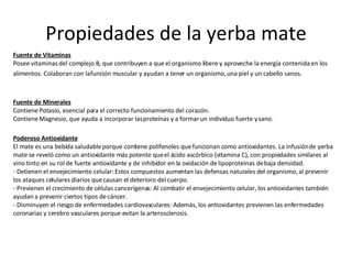Propiedades de la yerba mate Fuente de Vitaminas Posee vitaminas del complejo B, que contribuyen a que el organismo libere y aproveche la energía contenida en los alimentos. Colaboran con la función muscular y ayudan a tener un organismo, una piel y un cabello sanos.   Fuente de Minerales Contiene Potasio, esencial para el correcto funcionamiento del corazón. Contiene Magnesio, que ayuda a incorporar las proteínas y a formar un individuo fuerte y sano.  Poderoso Antioxidante El mate es una bebida saludable porque contiene polifenoles que funcionan como antioxidantes. La infusión de yerba mate se reveló como un antioxidante más potente que el ácido ascórbico (vitamina C), con propiedades similares al vino tinto en su rol de fuerte antioxidante y de inhibidor en la oxidación de lipoproteínas de baja densidad. - Detienen el envejecimiento celular: Estos compuestos aumentan las defensas naturales del organismo, al prevenir los ataques celulares diarios que causan el deterioro del cuerpo.  - Previenen el crecimiento de células cancerígenas: Al combatir el envejecimiento celular, los antioxidantes también ayudan a prevenir ciertos tipos de cáncer.  - Disminuyen el riesgo de enfermedades cardiovasculares: Además, los antioxidantes previenen las enfermedades coronarias y cerebro vasculares porque evitan la arterosclerosis.  